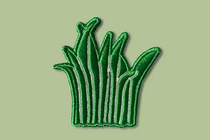 Hautes herbes