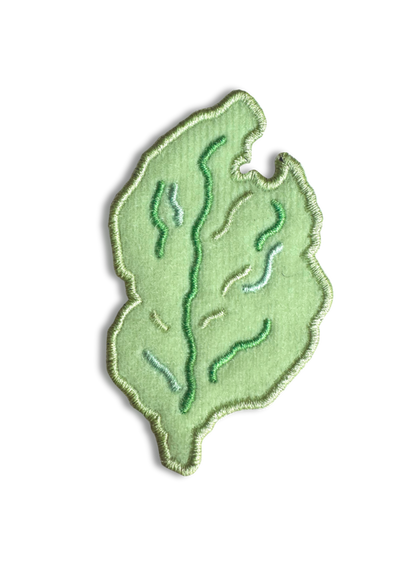 Petite feuille