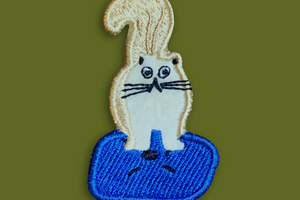 Chat sur son coussin